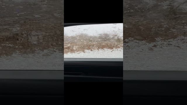 Началось