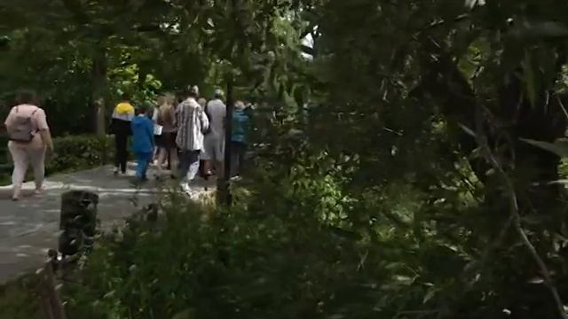 30.07.2022 КТВ