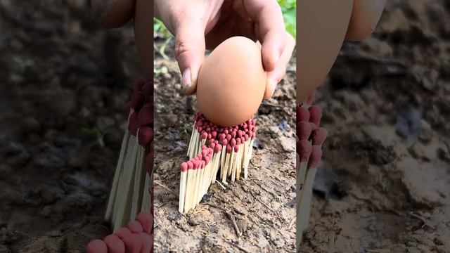 How to bake eggs with matches #outdoors #dailylife #camping #bushcraft #survival