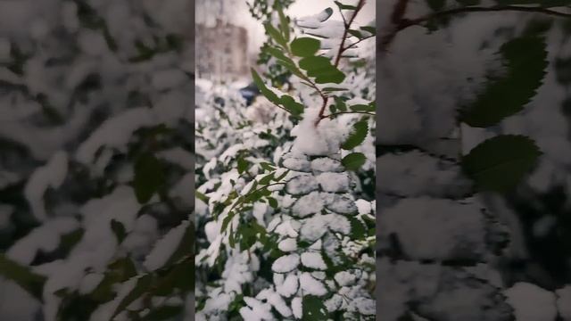 Первый снег в Кораблино 2 ❄