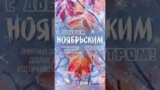 С добрым ноябрьским утром всех! Чудесного дня и прекрасного настроения!