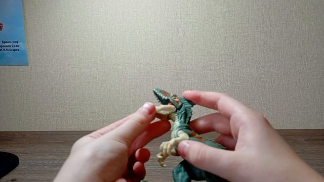 1000000519.mp4