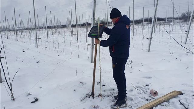 ЭЛЕКТРО-ИЗГОРОДЬ ДЛЯ ЗАЩИТЫ ЯБЛОНЕВОГО САДА :)