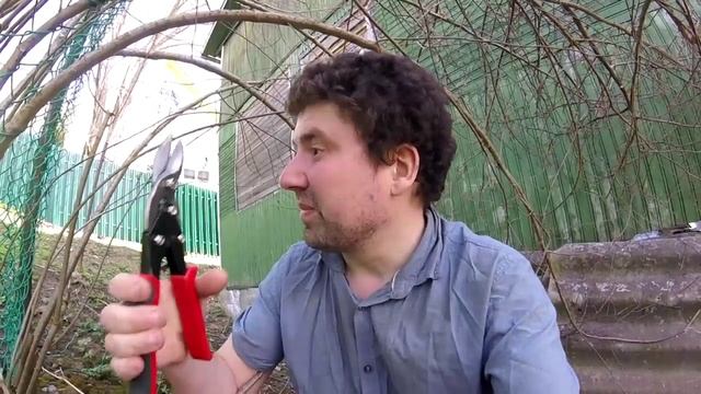 Самоизоляция на даче | 1-10 мая 2020