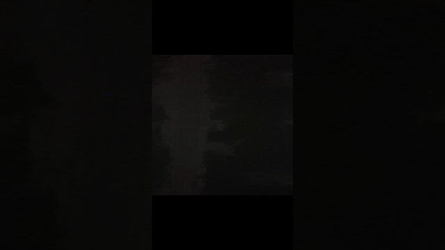 Я лублу своих потпичикох
