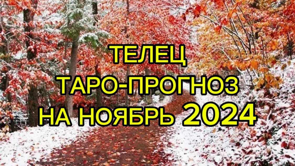 ТЕЛЕЦ/ТАРО-ПРОГНОЗ/НОЯБРЬ 2024