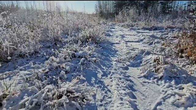 Почему "Нетрудовые доходы" бесили коммунистов