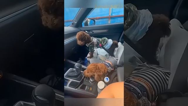 минутка смеха 😂