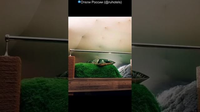 Отель Аврора Вилладж - всего 49 км от Мурманска, и вы окажетесь в самом необычном глемпинге России!