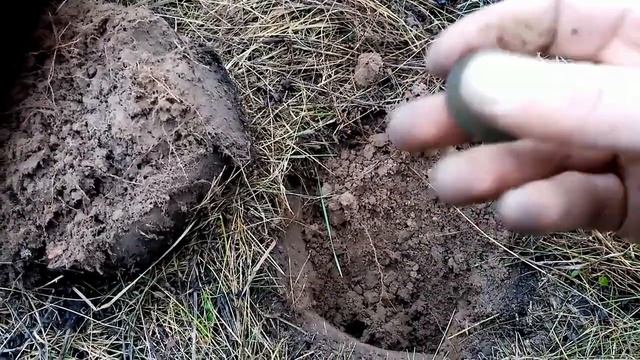 Коп на Волоке