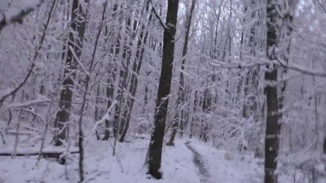 Второй снег. Снежная сказка. 4 ноября.
