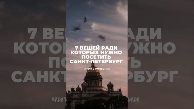 Чем заняться в Санкт-Петербурге?