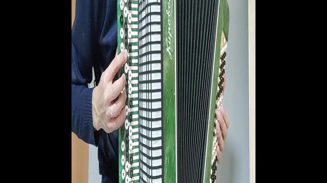 СӘРМӘН БУЙЛАРЫНДА - обучающий видеоразбор на БАЯНЕ