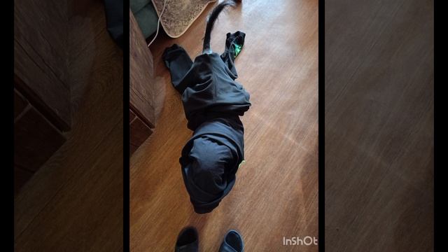 Не правильно понял.