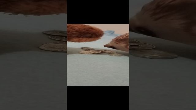 1000005097.mp4