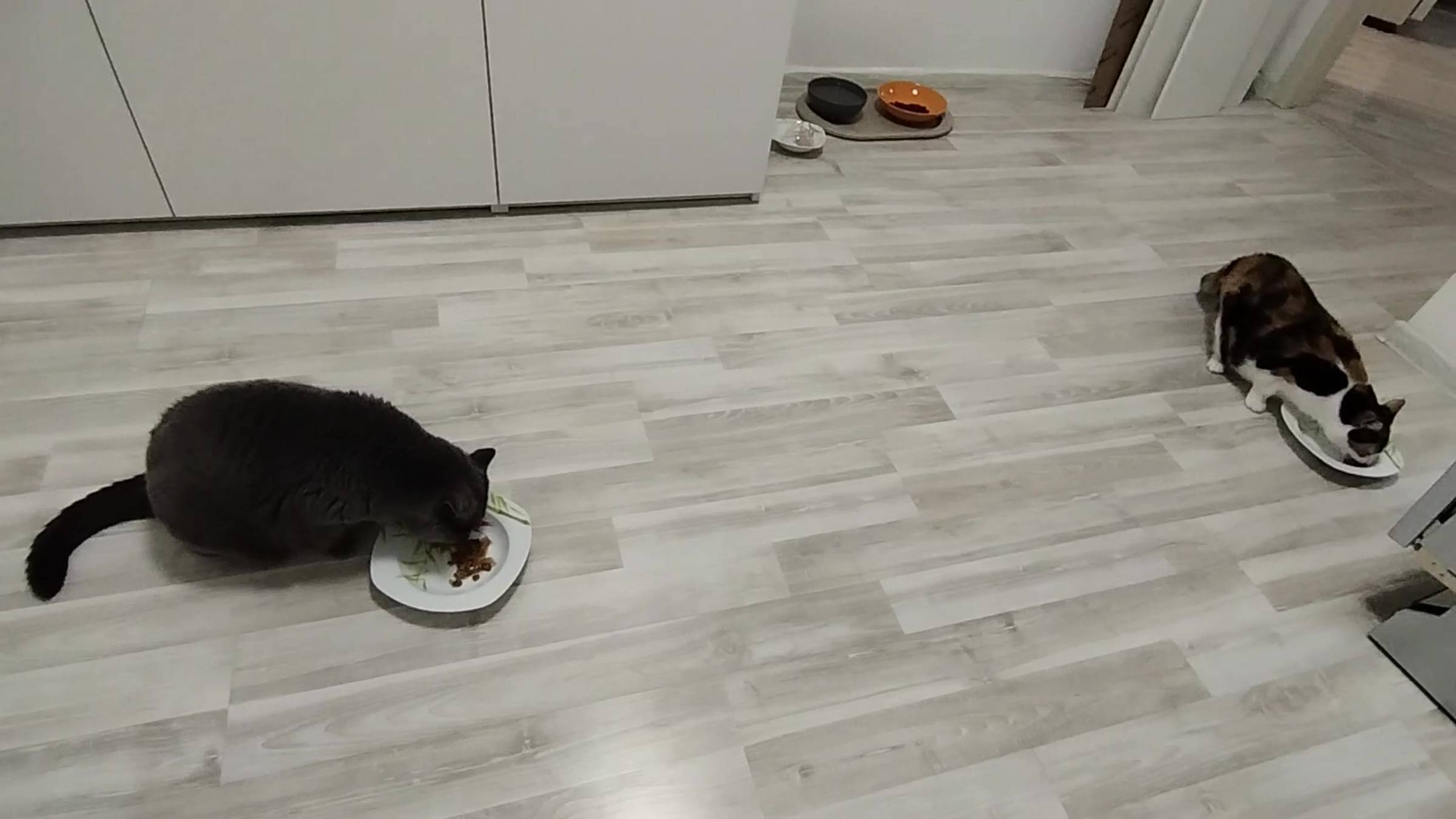 Четвертый день сборки новой кухни