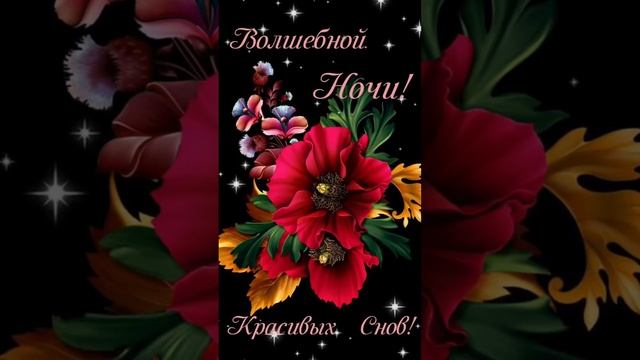 Доброй ночки, красивых снов ❤💋