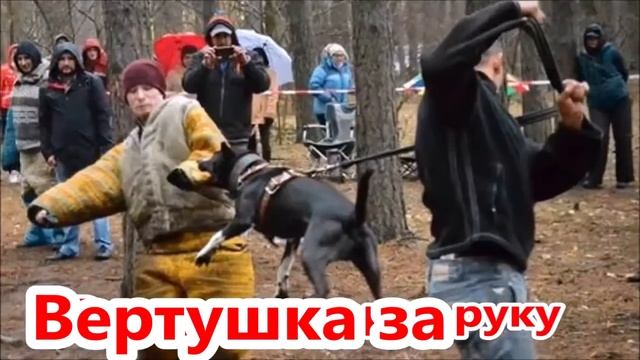 Вертушка за руку . Теория и практика. Кинбой. Самооборона с применением собаки.