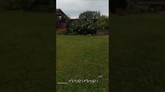 "От первого лица" — осенняя версия 💜