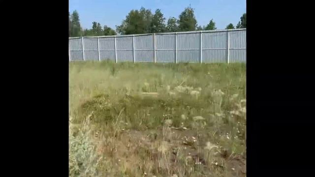 13 июля 2021 г.