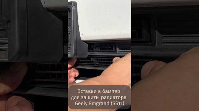 Защита радиатора/Вставки в бампер Geely Emgrand 2021-(SS-11) нижние рисунок SS