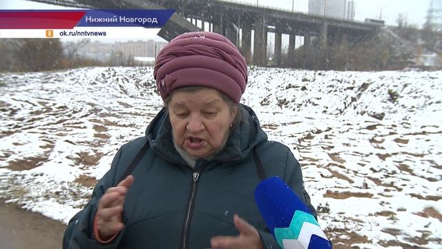 Слушания по проекту застройки левого берега Оки у Малиновского моста проходят в Нижнем Новгороде