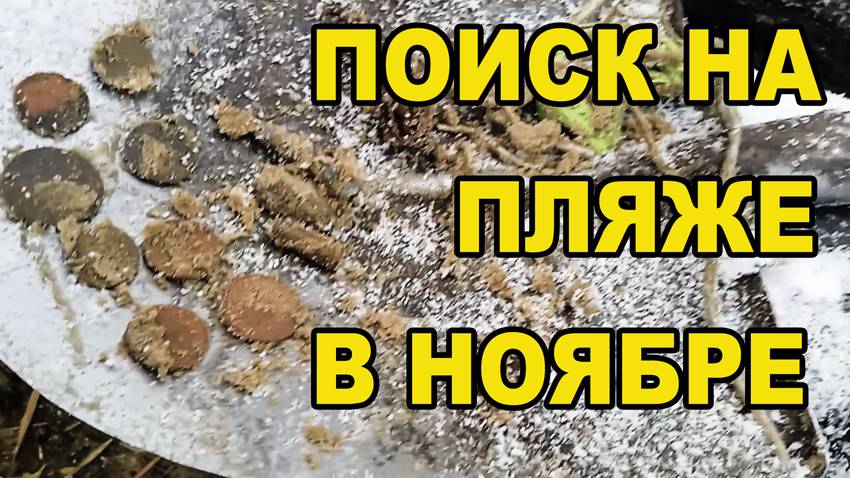 Поиск на пляже в ноябре.