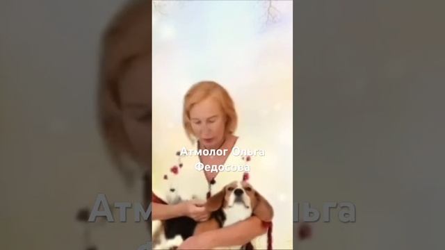 22 апреля 2024 г.