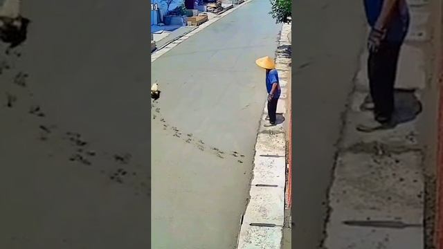 Пёсик обошёл рабочего