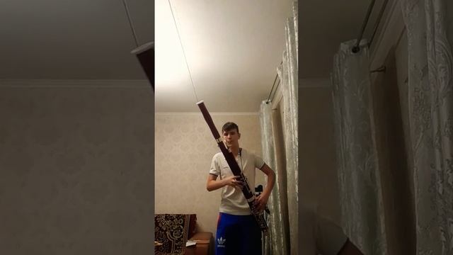 Sax-a-Boom on the bassoon?!?