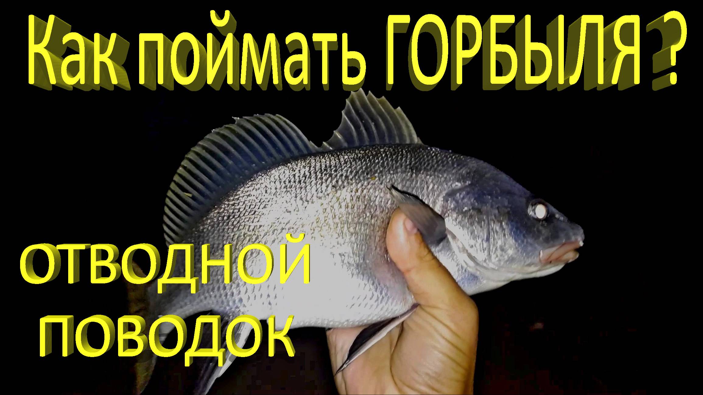 🔥 Как поймать ГОРБЫЛЯ на спиннинг (часть 2)? Отводной поводок. Рыбалка на Черном море в Крыму 🔥