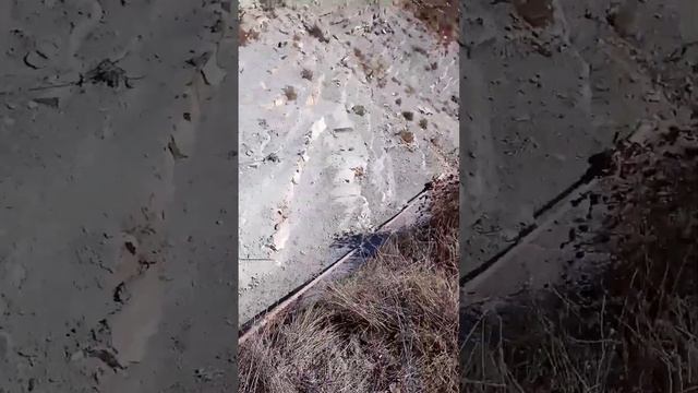 Слабоумие и отвага