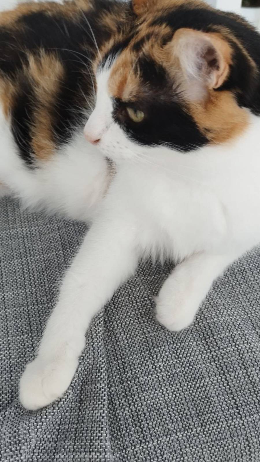 Марта отдыхает