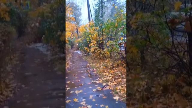 осень 2024.2.mp4
