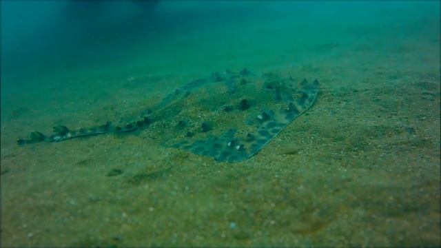 Крым - Черное море