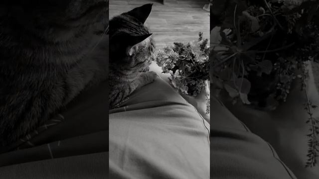 как отвлечься от ожидания #беременность