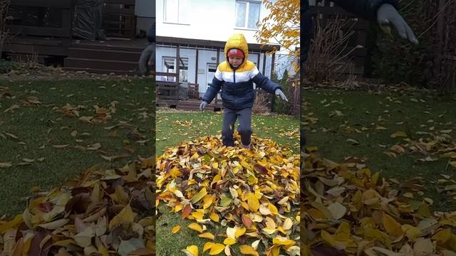VID_20241103_215732_118.mp4.mov