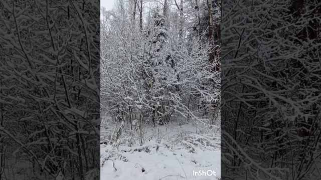 СНЕЖНОЕ ЧУДО! Сергей Созинов, стихи (читает автор)