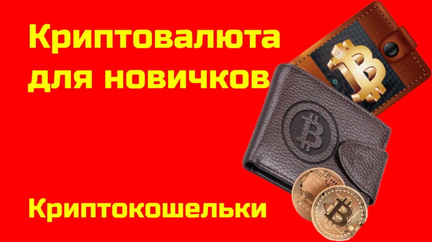 Биткоин: какие бывают кошельки? |Криптокошельки | Крипта для новичков