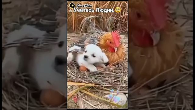 Учитесь люди