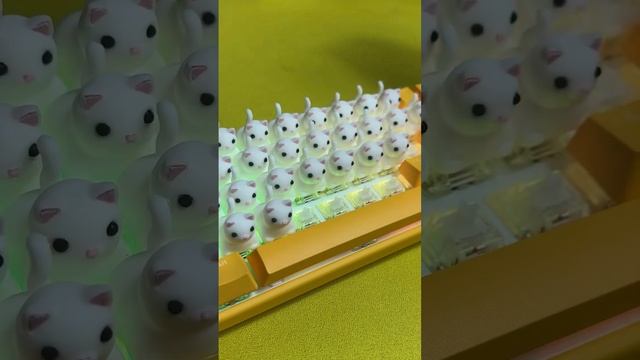 meow keyboard