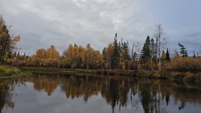 Северные берега