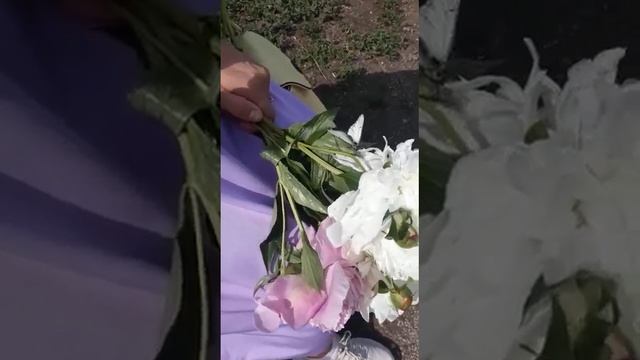 эстетика и вдохновение