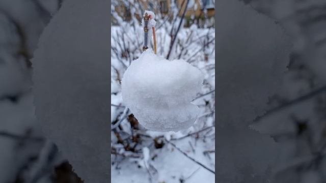 Зима торопится❄️