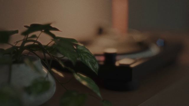 Munekata Project - TURN TO LIGHT