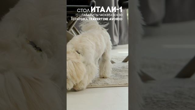 Стол Итали-1  — произведение искусства в вашем доме