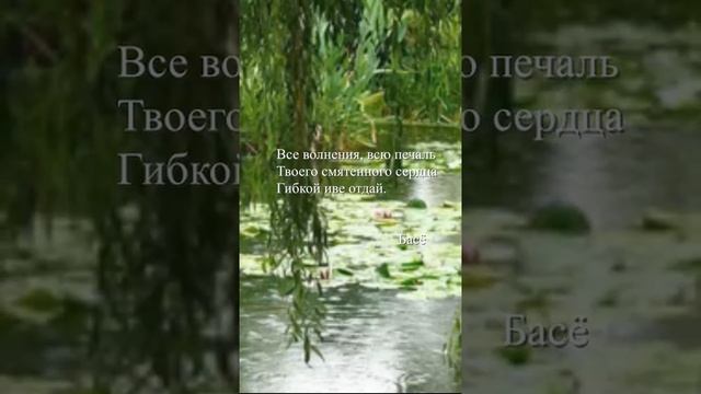 Басё - "Все волнения"