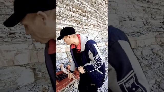 Подарки Чёрного Моря