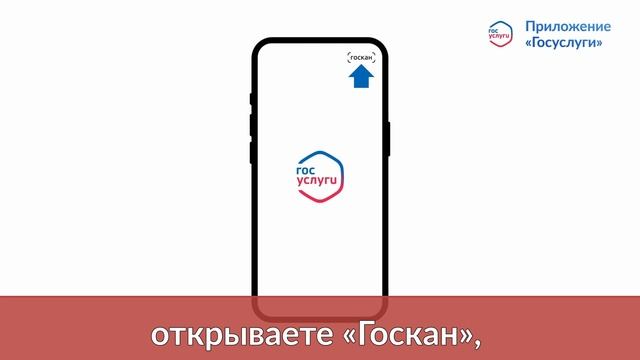 Предоставьте документы с Госуслуг в МФЦ