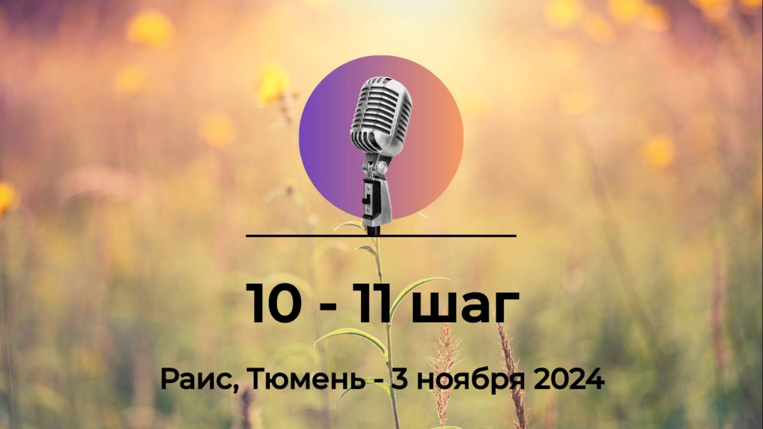 Спикерская АНЗ "10-11 шаг" Раис, Тюмень, 3 ноября 2024 года